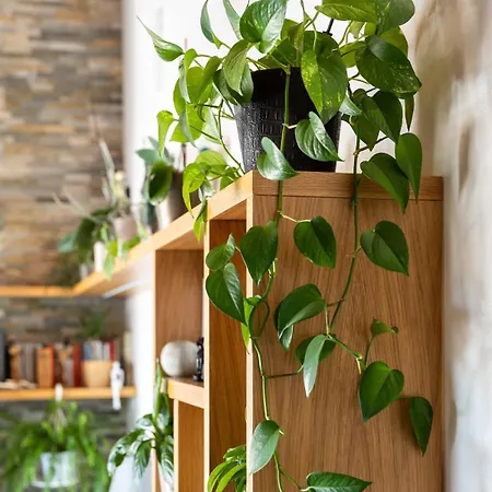 شقة Terrazza Hikari Villacidro